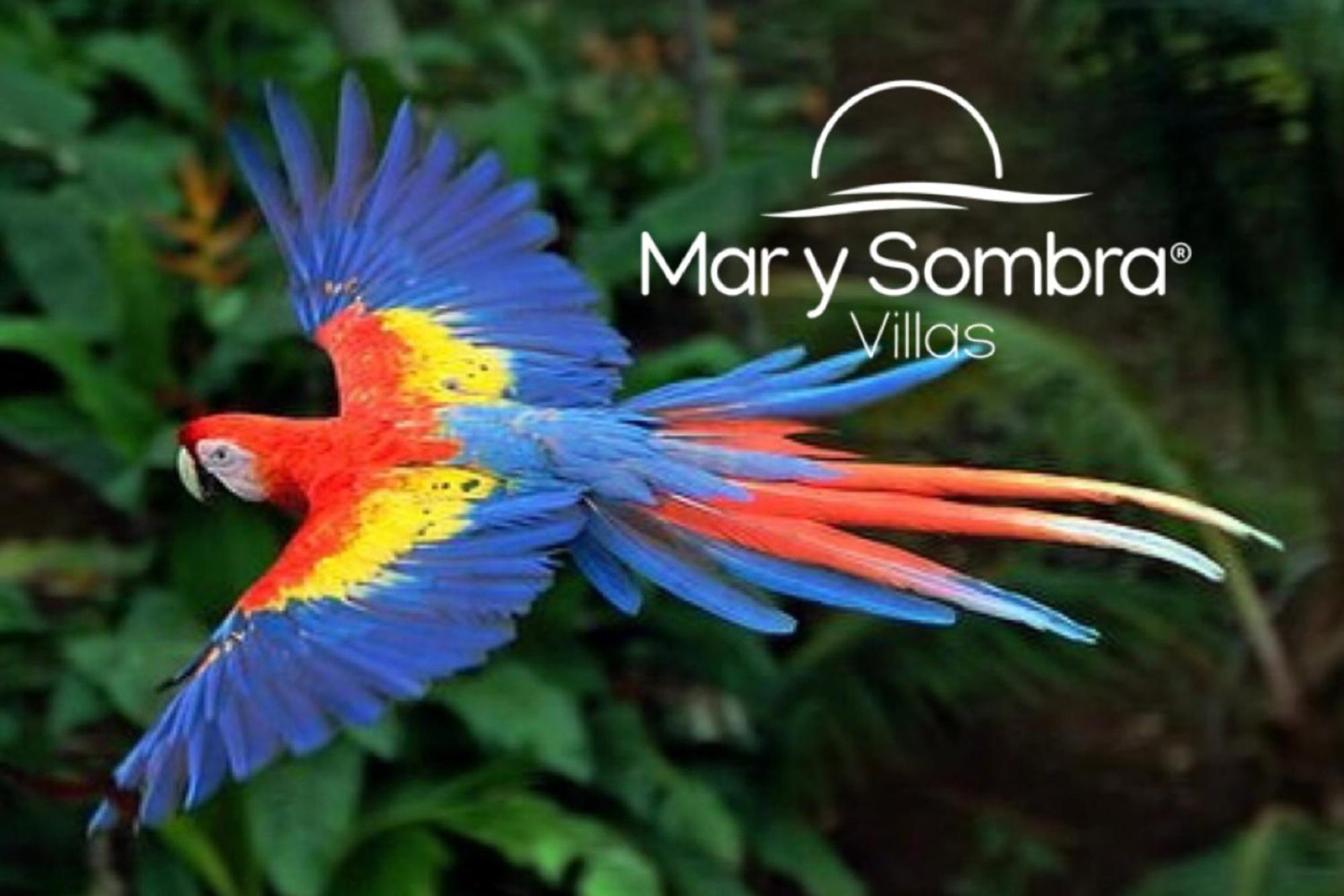 Mar Y Sombra Villas Quepos Kültér fotó
